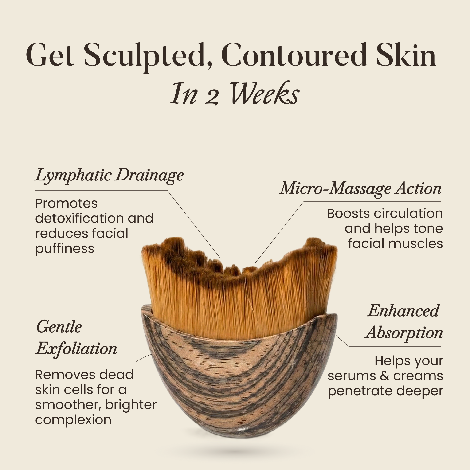 Gua Sha Brush for Snatched Face